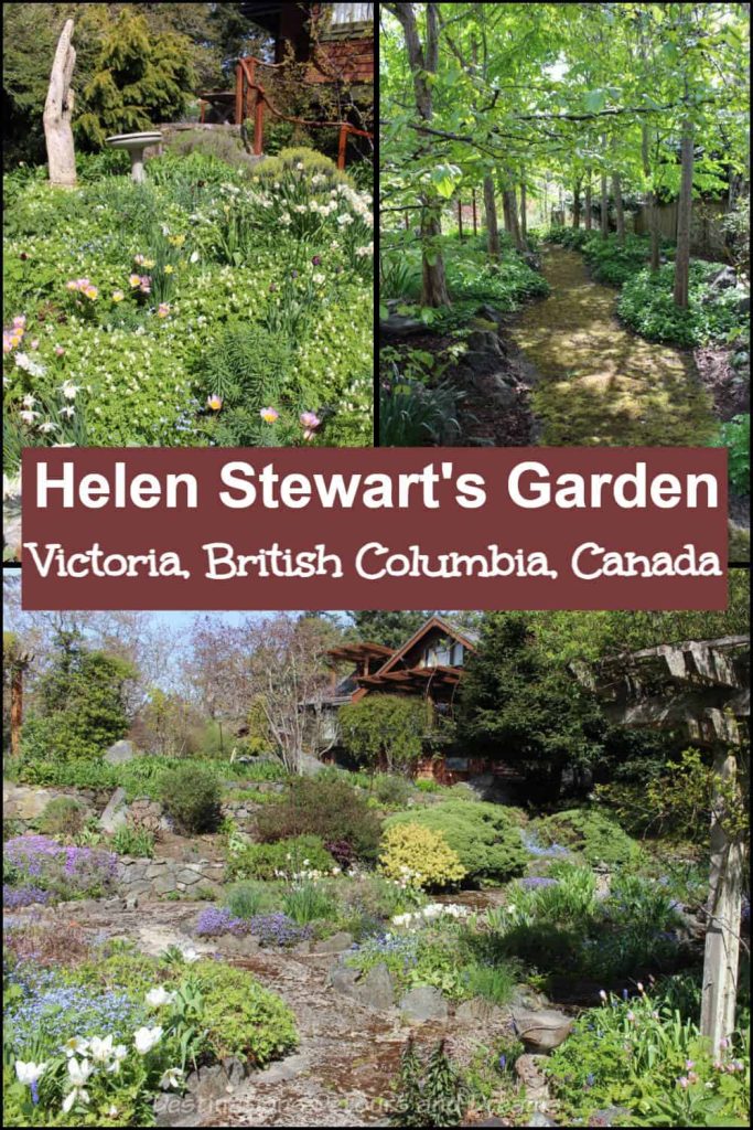 Helen Stewart Garden Victoria B.C. Helen Stewart's Garden in Victoria: Artist and author Helen Stewart has created a delightful and magical garden at her home in Victoria, British Columbia, Canada