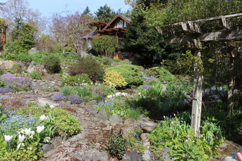 Helen Stewart Garden Flowering plants and shrubs on a rocky terrace garden - Helen Stewart's Garden