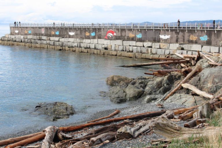 Victoria’s Ogden Point Breakwater and Unity Wall