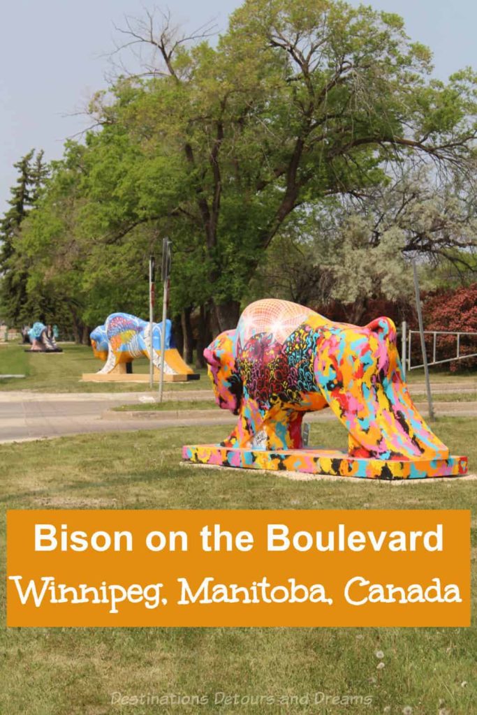Bison on the Boulevard in Winnipeg Bison on the Boulevard in Winnipeg - An outdoor art installation in Winnipeg, Manitoba, Canada features colourfully painted concrete bison to raise awareness of child abuse with bison as symbols of strength and resilience
