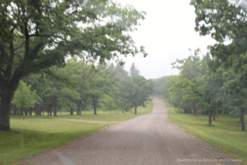 A misty view of a tree-lined road winding through a park