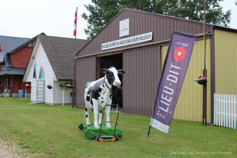 A group of buildings with the statue of a white and black cow in the foreground - one of buildings says Manitoba Dairy Museum