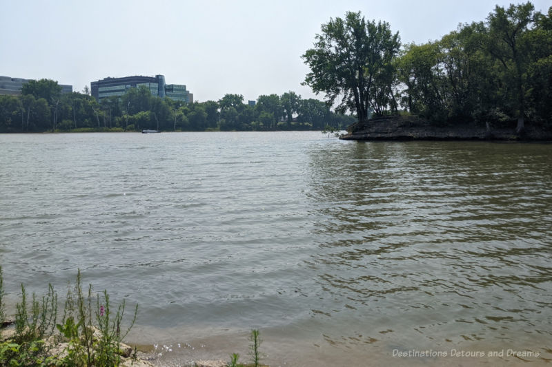 The Forks Turtle Tours River Junction Two rivers meet each other in the heart of a city