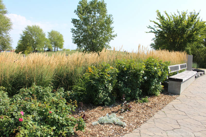 Viking Park Bench Bench alongside paving stone walkway with shrubs and tall grasses behind it