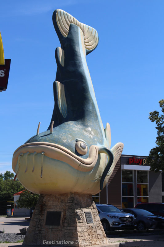 Roadside attraction sculpture of a beige and blue giant catfish , head resting on the base, dorsal fin at the top
