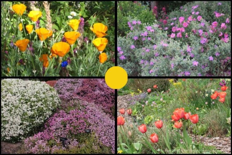 Spring Blooms In The Gardens