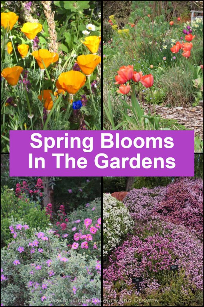 Spring Garden Blooms Photographs of spring blooms taken in public gardens in various locales