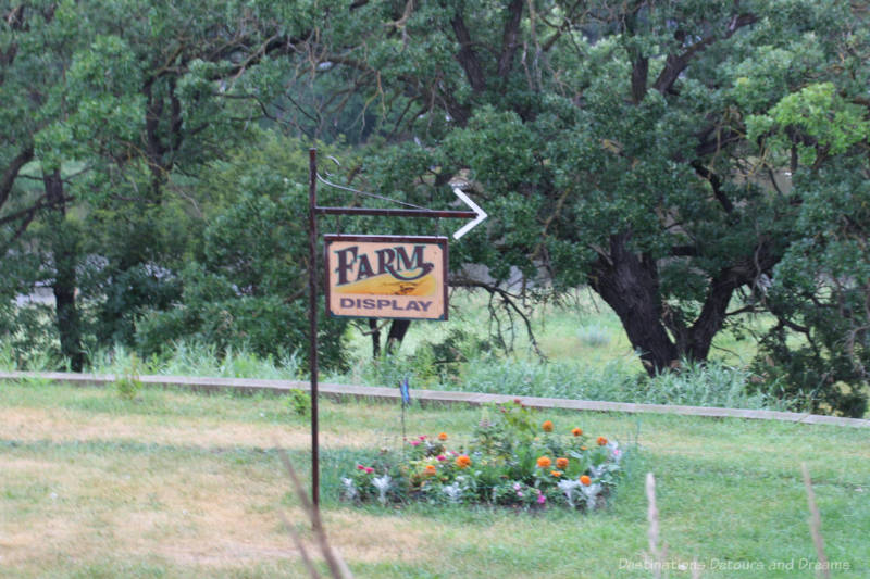 Sign on a grassy area with flowers beside it and trees behind it points to a farm display