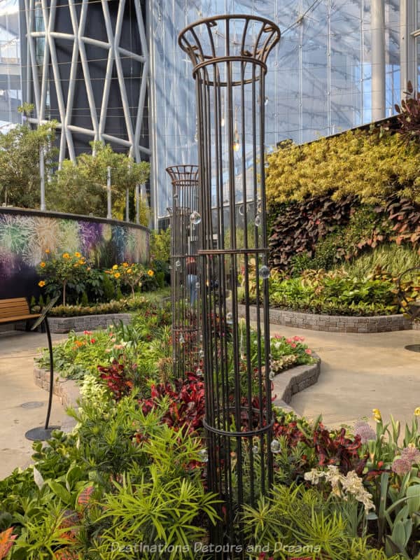 Indoor garden display rooms with vertical garden on one side, curved flower bed in middle and path around