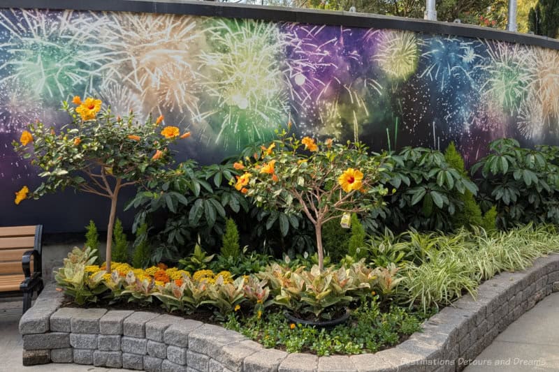 Flower bed in front of wall decorated with firework bursts contains shrubs, blooming yellow hibiscus, and a border of orange and yellow flowers