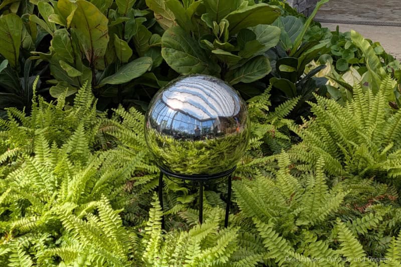 Chrome globe sitting amid green ferns