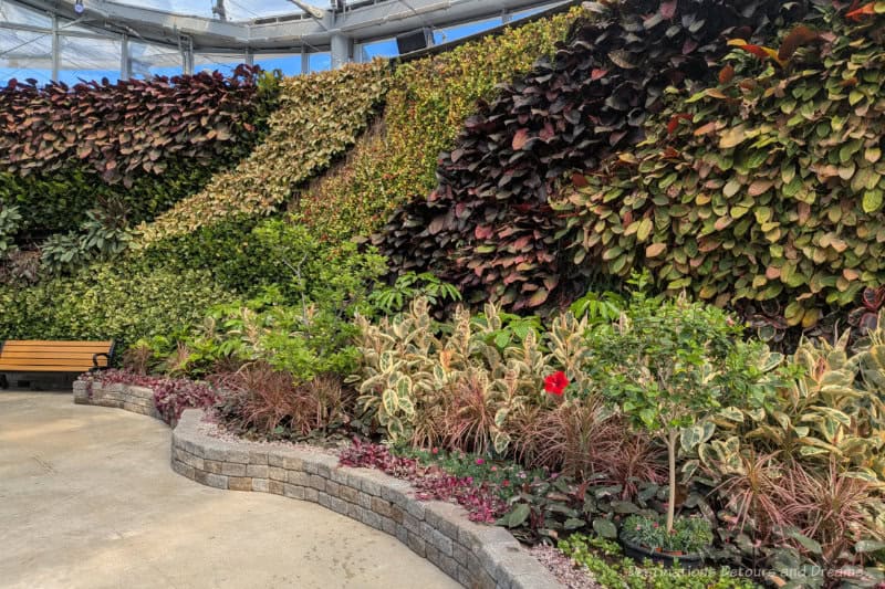 An inside wall features greenery in different shades of green growing up the wall; a flower bed is in front of wall