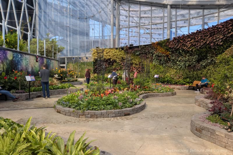 Indoor garden at The Leaf shows vertical wall of greenery and path around curved brick lined flower beds with spring blooms