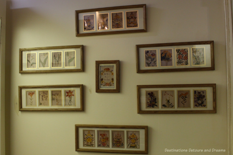 Sipiweske Museum Norman Criddle Drawings Collection of framed flower drawings hanging on a wall