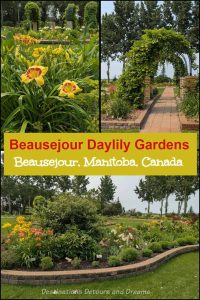 Beausejour Daylily Gardens Manitoba Beausejour Daylily Gardens, AHS Daylily display garden in Beausejour, Manitoba, Canada, the coldest AHS display garden on the planet, contains daylilies, other lilies, irises, peonies, and fruit trees