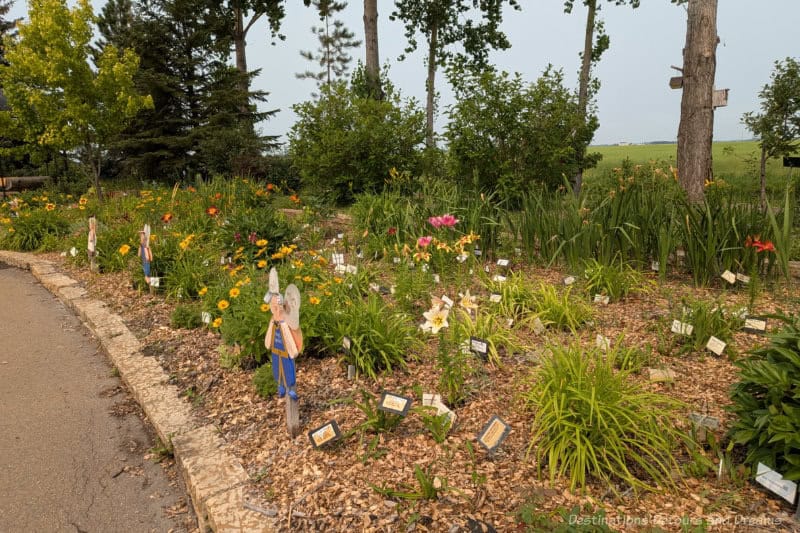 Beausejour Daylily Gardens Bed Garden bed with labels in front of the plants and wooden angel figures