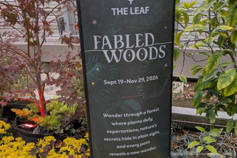 Fabled Woods At The Leaf