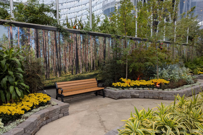 Indoor bricked flower beds and a bench along pathway with backdrop wall containing forest wallpaper and 